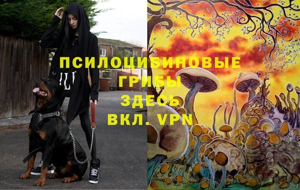 гидропоника Зеленокумск