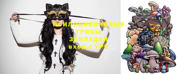 гидропоника Зеленокумск